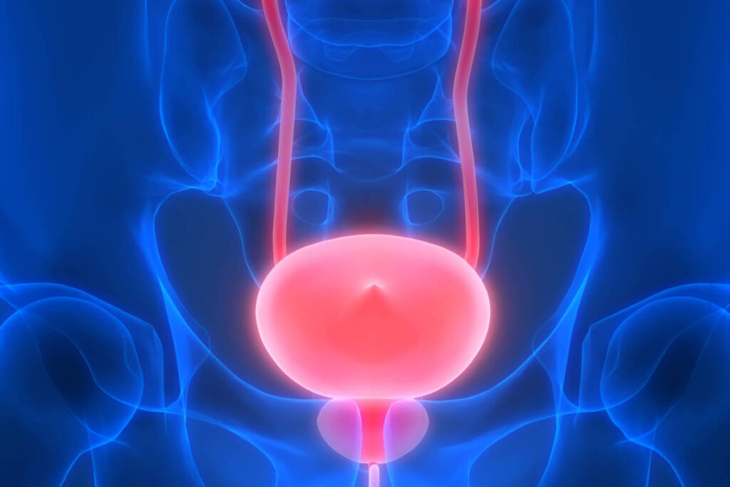 anvisa-aprova-novo-tratamento-para-cancer-de-bexiga