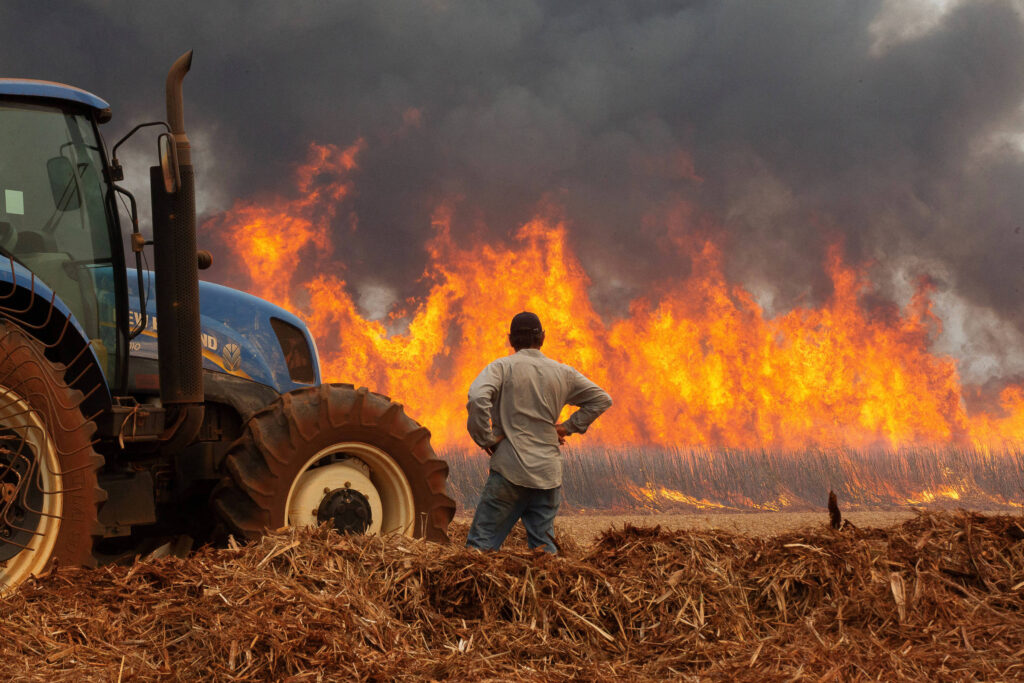 como-proteger-a-sua-saude-dos-incendios-florestais-no-estado-de-sao-paulo