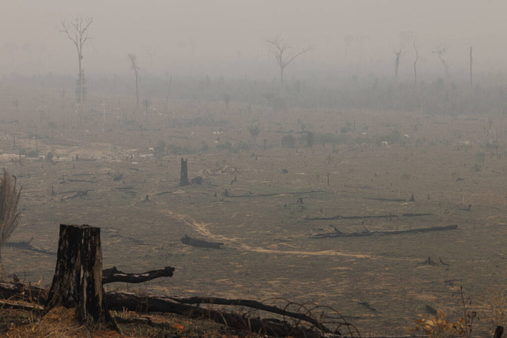 brasil-sufoca-em-fumaca-e-a-culpa-e-do-agro