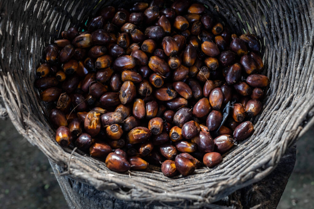 gordura-de-palma,-presente-no-azeite-de-dende,-pode-se-agarrar-as-proteinas-e-ser-prejudicial;-entenda