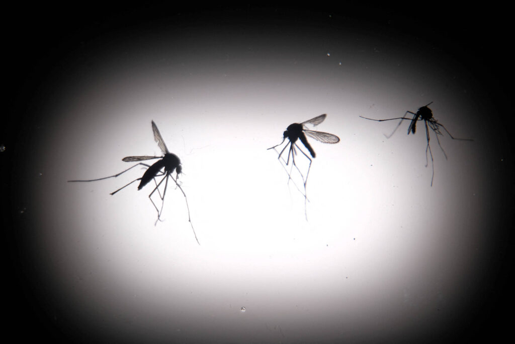 dengue:-menos-da-metade-das-doses-distribuidas-constam-como-aplicadas