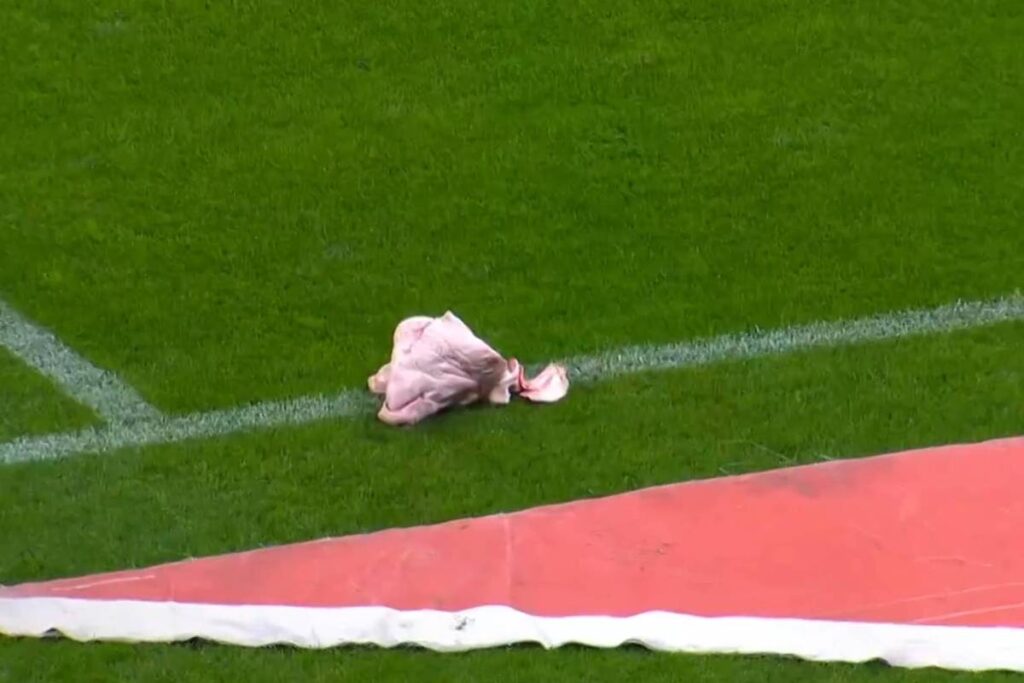 torcedores-do-corinthians-jogam-cabeca-de-porco-no-gramado-durante-classico-contra-o-palmeiras