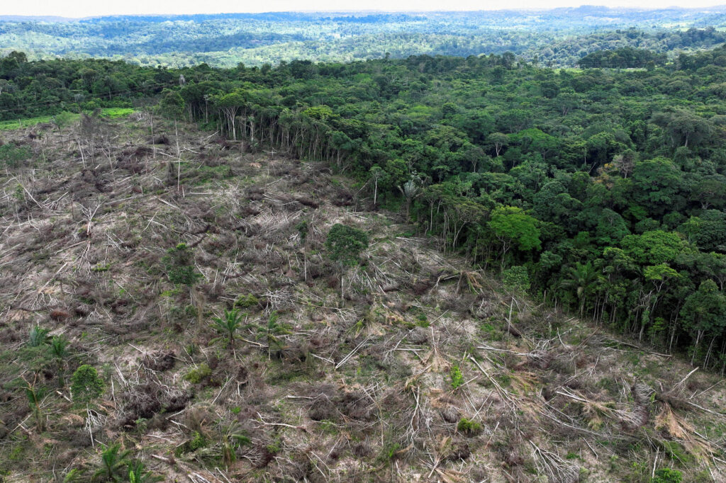 efeito-domino-do-desmatamento-na-amazonia